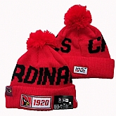 Arizona Cardinals Team Logo Knit Hat YD (13)